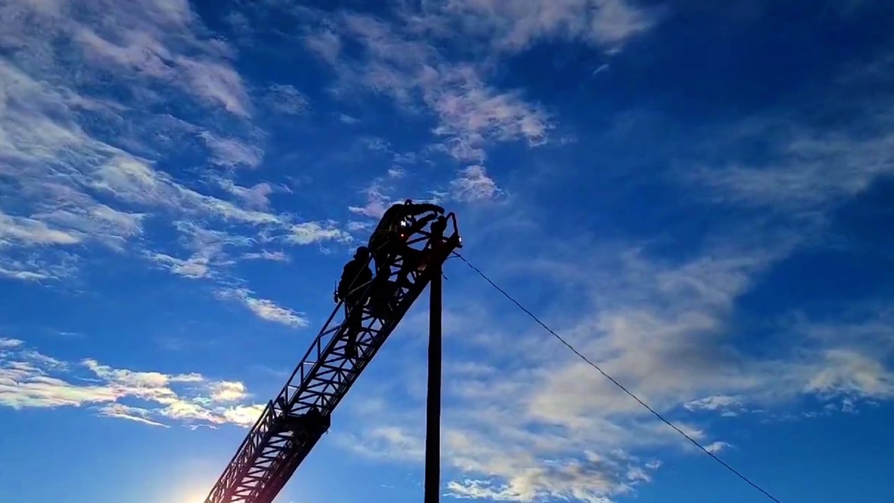 Colorado Firefighters Rescue Cat Stuck On Top Of Street Light.mp4
