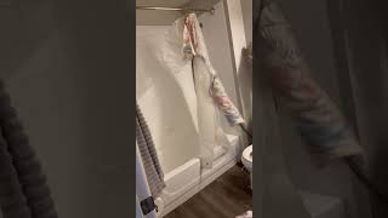 Plumber Snakes the Shower Curtain