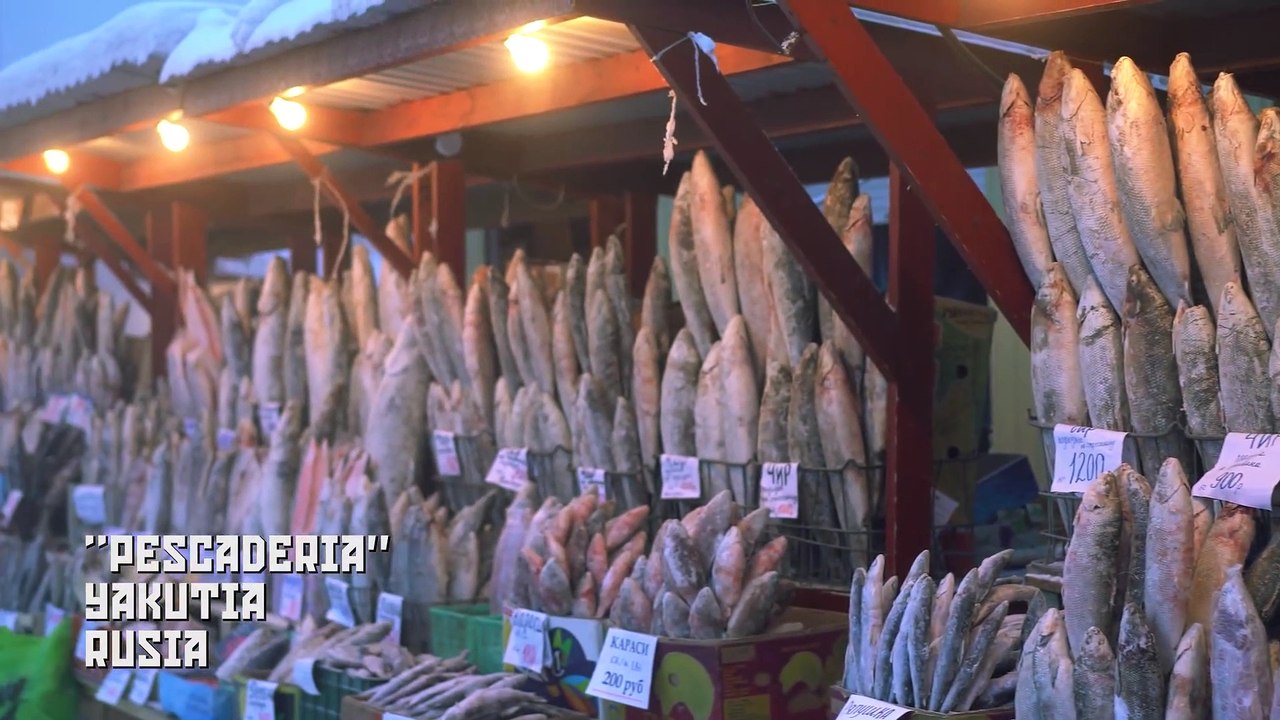 Visitando la CIUDAD MÁS FRÍA del Mundo (-71°C) YAKUTSK   YAKUTIA