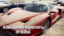 Supercars are abended in Dubai.