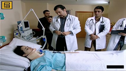 كورتلار فاديسي - الحلقة 97