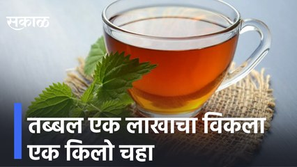One Lac for  1 kilo  tea | तब्बल एक लाखाचा विकला एक किलो चहा, मनोहारी गोल्ड चहाला सोन्याचा भाव