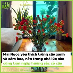 Mai Ngọc và loạt MC, BTV đình đám có không gian sống đẳng cấp | Điện Ảnh Net