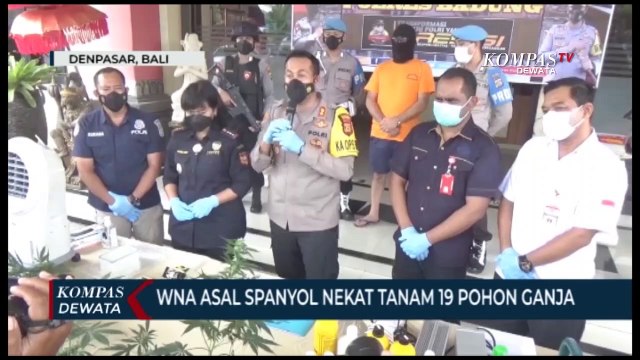 WNA Spanyol Tanam 19 Pohon Ganja
