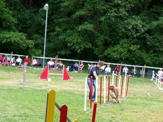 agility 2007 Kenzo