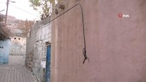 Mardin'de mahalleli internet kablosu hırsızları için nöbette