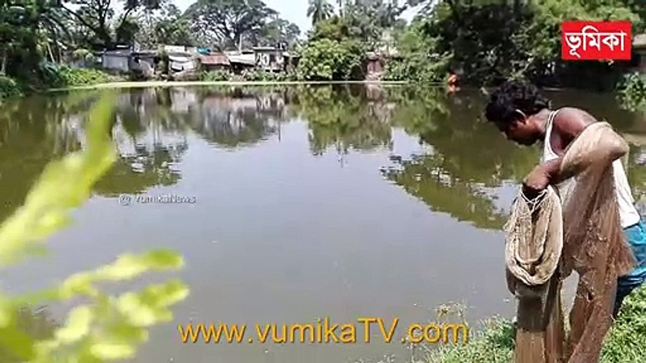 Traditional Net Catch Fishing in The Village ponds |_Net fishing techniques | net fishing in ponds | | Vumika TV