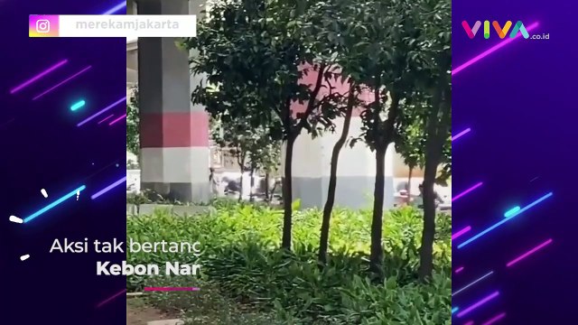 Seorang Pria Lempar Batu ke Pengguna Mobil di Jakarta Timur