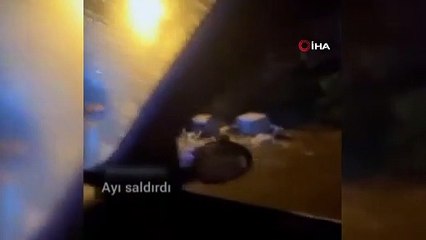 Yer: Bursa... Selam verdikleri ayı böyle saldırdı