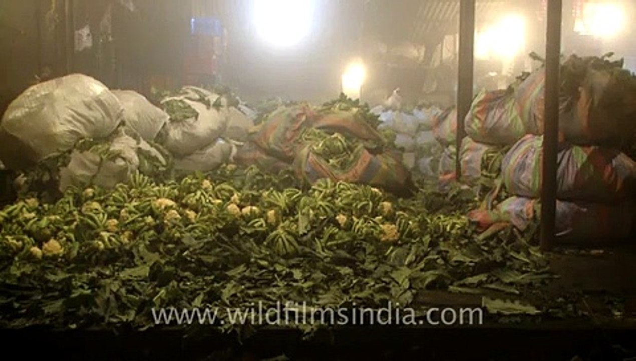Loading vegetables in Azadpur Sabzi Market, New Delhi