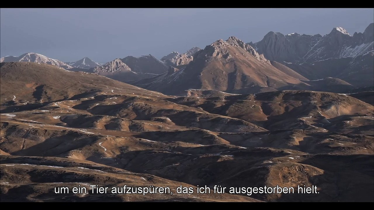 Der schneeleopard film