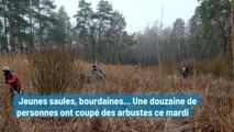 Dosches : débroussailler pour préserver la biodiversité de l’étang de l’Emprunt