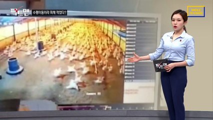 [팩트맨]제주 지진, 수평이동이라 피해 적었다?