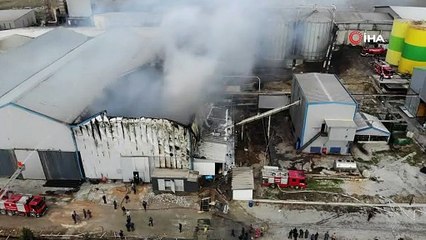 Organize sanayi Bölgesi'nde korkutan yangın