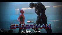 Spiderman No Way Home Spoiler appearance Venom Post Credit Scene
