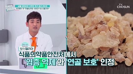 식품의약품안전처에서도 인정한 연골+관절 수비대↗ TV CHOSUN 20211215 방송