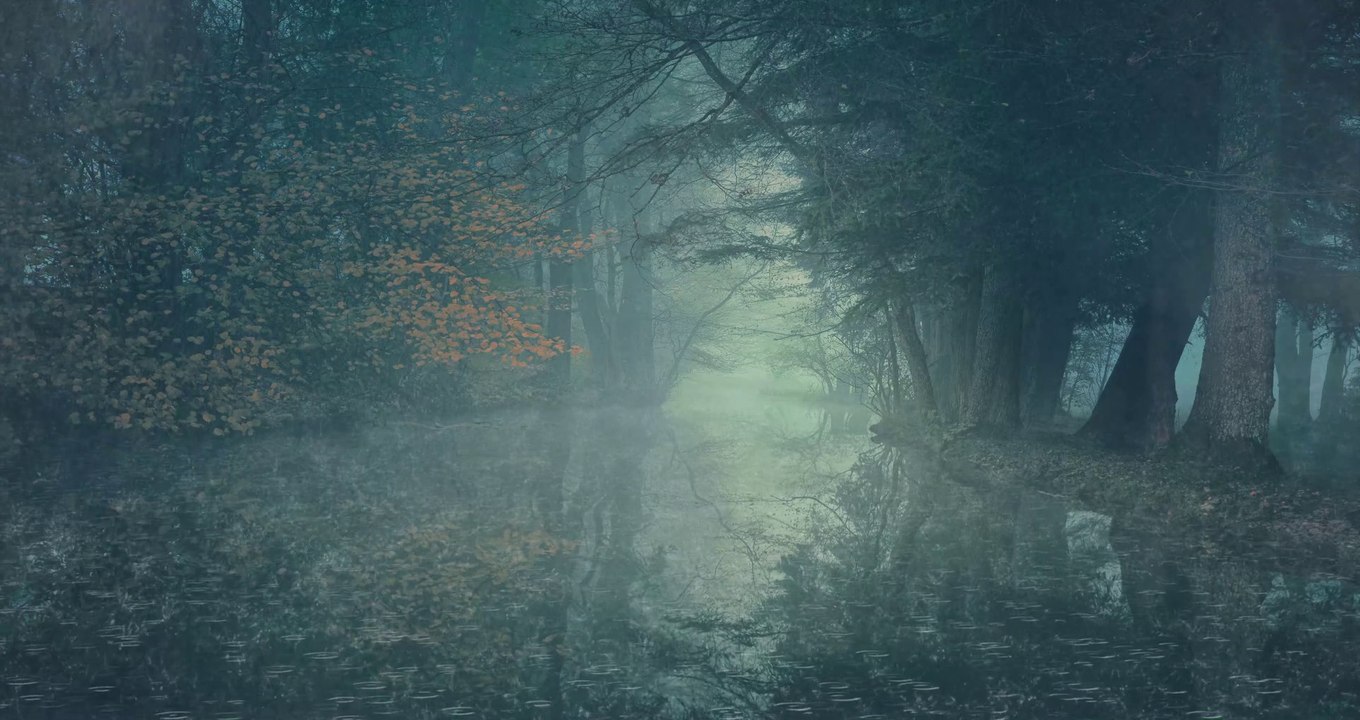 Rain falls on the lake in the tropical swamp forest - 4k Rain movie