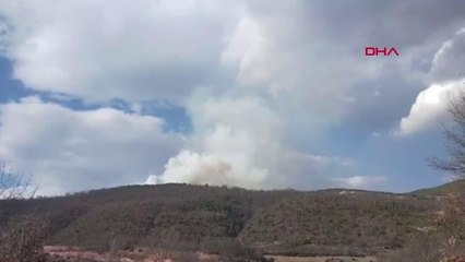 Son dakika haber: NİKSAR'DA ORMAN YANGINI