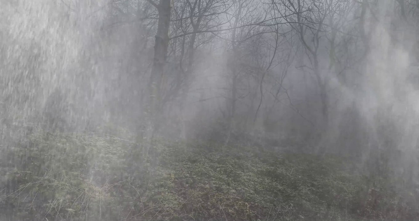 Rain heavy in tropical forest - Rain movie 4k