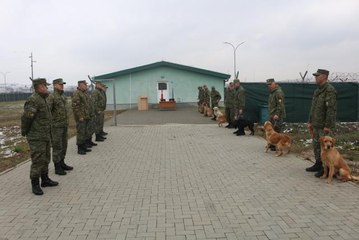 Türkiye, Kosova'ya arama-kurtarma çalışmaları için K9 köpekleri bağışladı