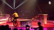 Documentaire - Grenoble : Festival international du Cirque 2021