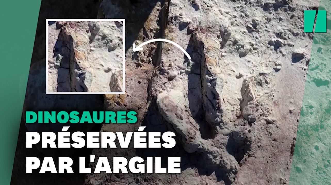 Ces empreintes de dinosaures sont si bien conservées qu'il y reste de la peau