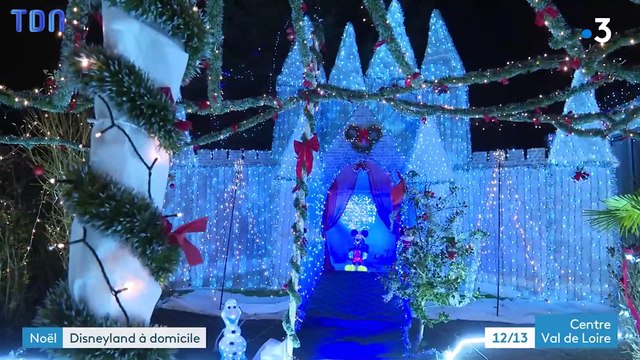 Ce père exauce le voeux de sa fille en créant un incroyable château Disney dans son jardin
