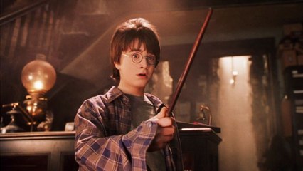 GALA VIDÉO - Harry Potter : la première photo de la réunion des 20 ans dévoilée, les fans déchaînés