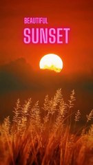 Beautiful sunsets #shorts #CG 9