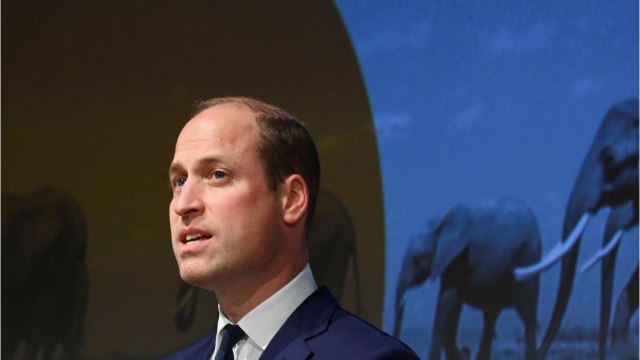 GALA VIDEO - « Je me suis levé comme un petit chiot : le prince William lève le voile sur sa soirée avec Taylor Swift…