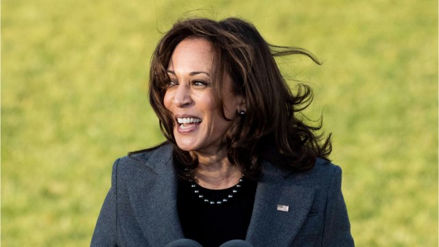 GALA VIDÉO - Kamala Harris : qui est son mari Douglas Emhoff ?