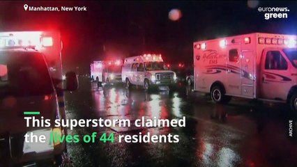 New York is building a wall to combat the worst effects of climate change