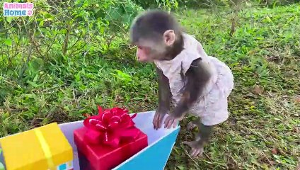 BiBi rowing boat to carry gifts for friends | HIndi Cartoons