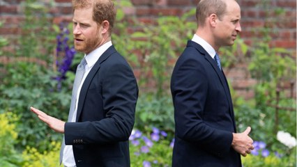 GALA VIDEO - William et Harry : leur échange étonnant devant la statue de Diana