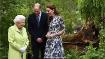 GALA VIDEO - Elizabeth II a ses favoris : avec Kate et William, la monarchie « entre de bonnes mains 