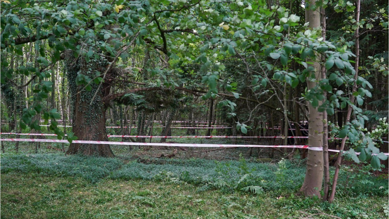 GALA VIDEO - La joggeuse retrouvée en Mayenne avoue finalement avoir menti.