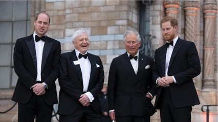 GALA VIDEO - Le prince Charles prêt à pardonner à Harry ? « Il est plus tendre que William "