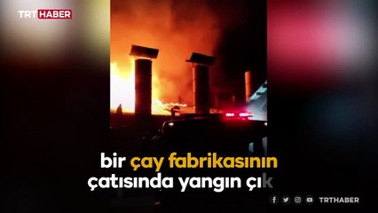 Trabzon'da çay fabrikasında yangın