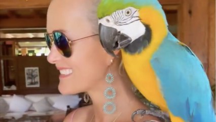 GALA VIDEO – PHOTO – Laeticia Hallyday à la plage : elle rayonne.