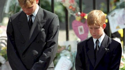 GALA VIDÉO - William et Harry un duo désormais aussi explosif que Charles et Diana : « Ils rejouent la dynamique de leurs parents "