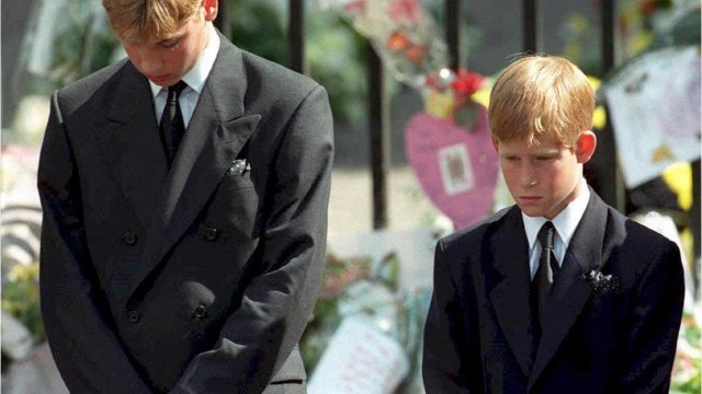 GALA VIDEO - Mort de Diana : ce dernier rendez-vous avec William et Harry empêché par Dodi Al-Fayed
