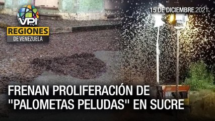 Noticias regiones de Venezuela - Miércoles 15 de Diciembre