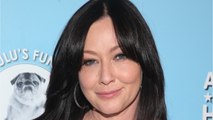 GALA VIDEO - Shannen Doherty (Charmed) et Chad Michael Murray (Frères Scott) : la photo qui enflamme les fans