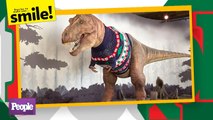 London’s Natural History Museum Dresses Animatronic 9ft T.Rex in Festive Christmas Sweater