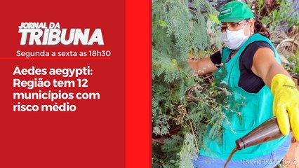 Aedes aegypti: Região tem 12 municípios com risco médio