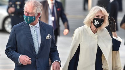 GALA VIDÉO - Archie fête ses 2 ans : le prince Charles et Camilla partagent une tendre photo