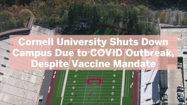 Cornell University Shuts Down Campus Due to COVID Outbreak, Despite Vaccine Mandate—Here's