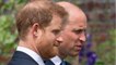 GALA VIDEO - Mémoires du prince Harry : cherche-t-il à se venger de William ?