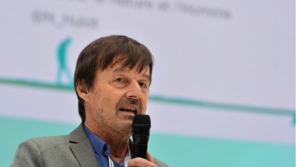 GALA VIDEO - Nicolas Hulot sidéré par une incroyable escroquerie : il porte plainte