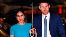 GALA VIDEO - Meghan Markle au courant des difficultés de Harry : il lui a téléphoné tous les jours !